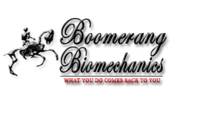 Dissection & Boomerang Biomechanics