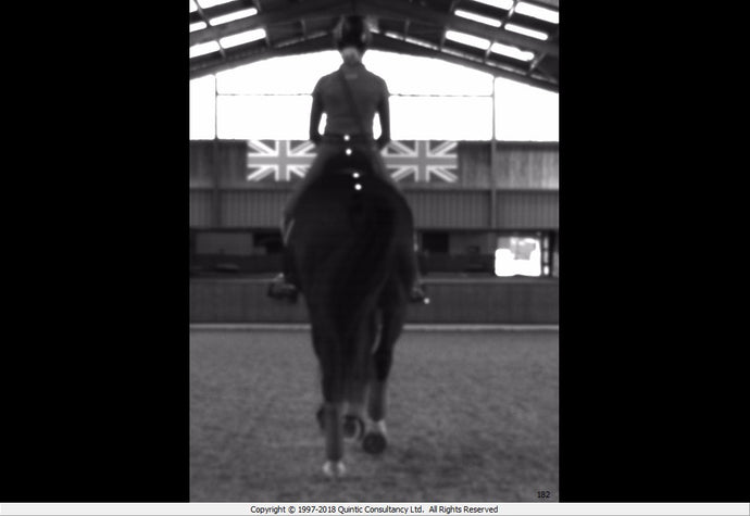 The Performance Cameras could they help you and your horse?